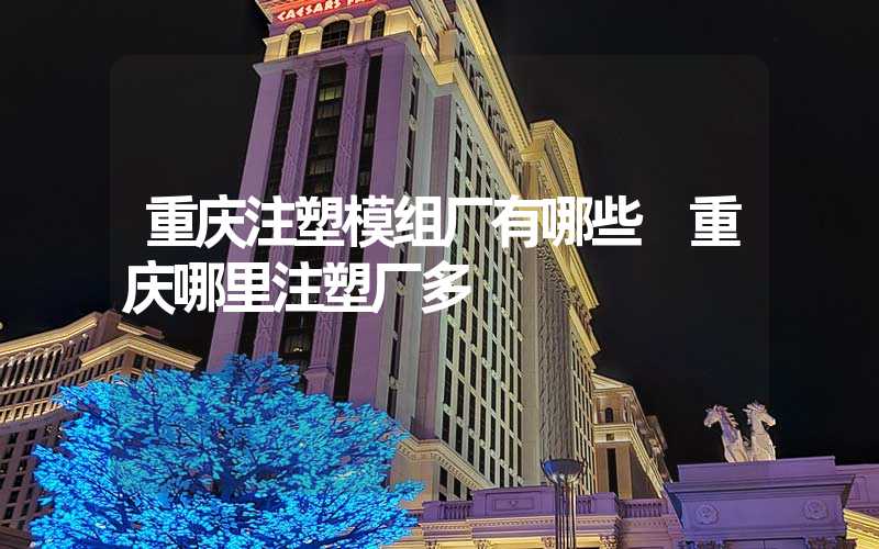 重庆注塑模组厂有哪些 重庆哪里注塑厂多